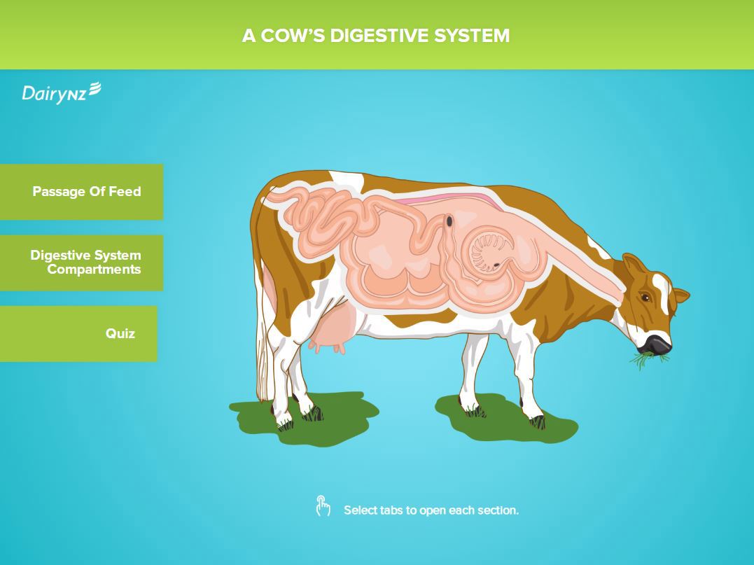 A screen shot from the Cows Digestive System Feedright module