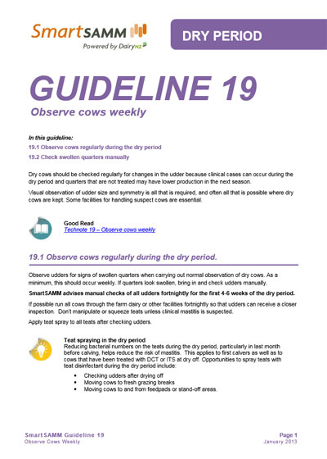 Guideline 19