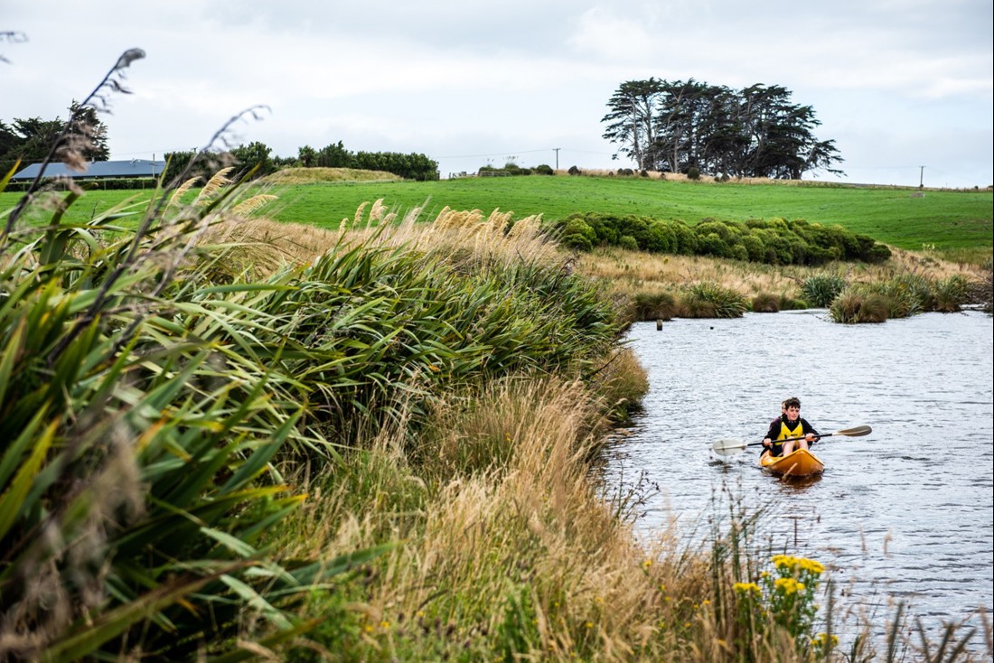 Riparian Planting Gallery Image 1
