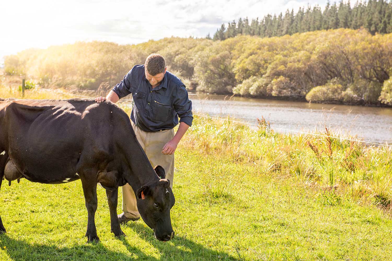 Cow health - DairyNZ | DairyNZ