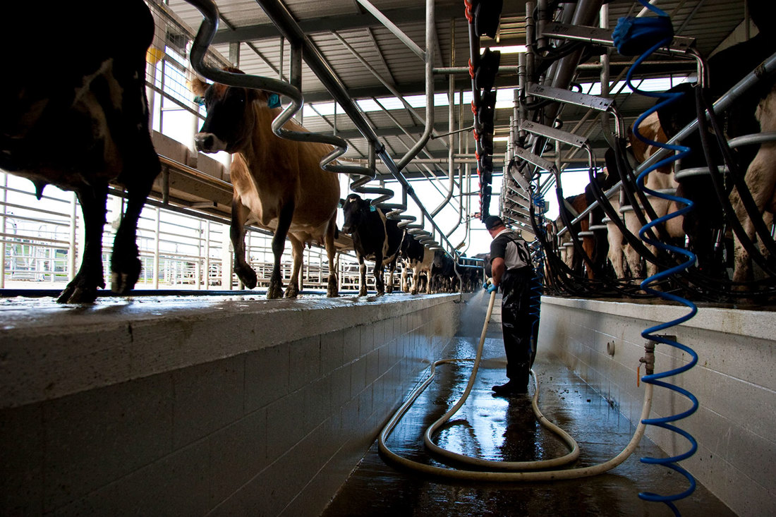 Water Use Overview Dairy Washdown 1500X1000