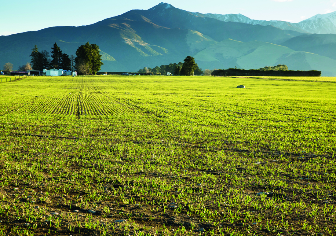 A farm with green crops on it, also a mountain in a horizon