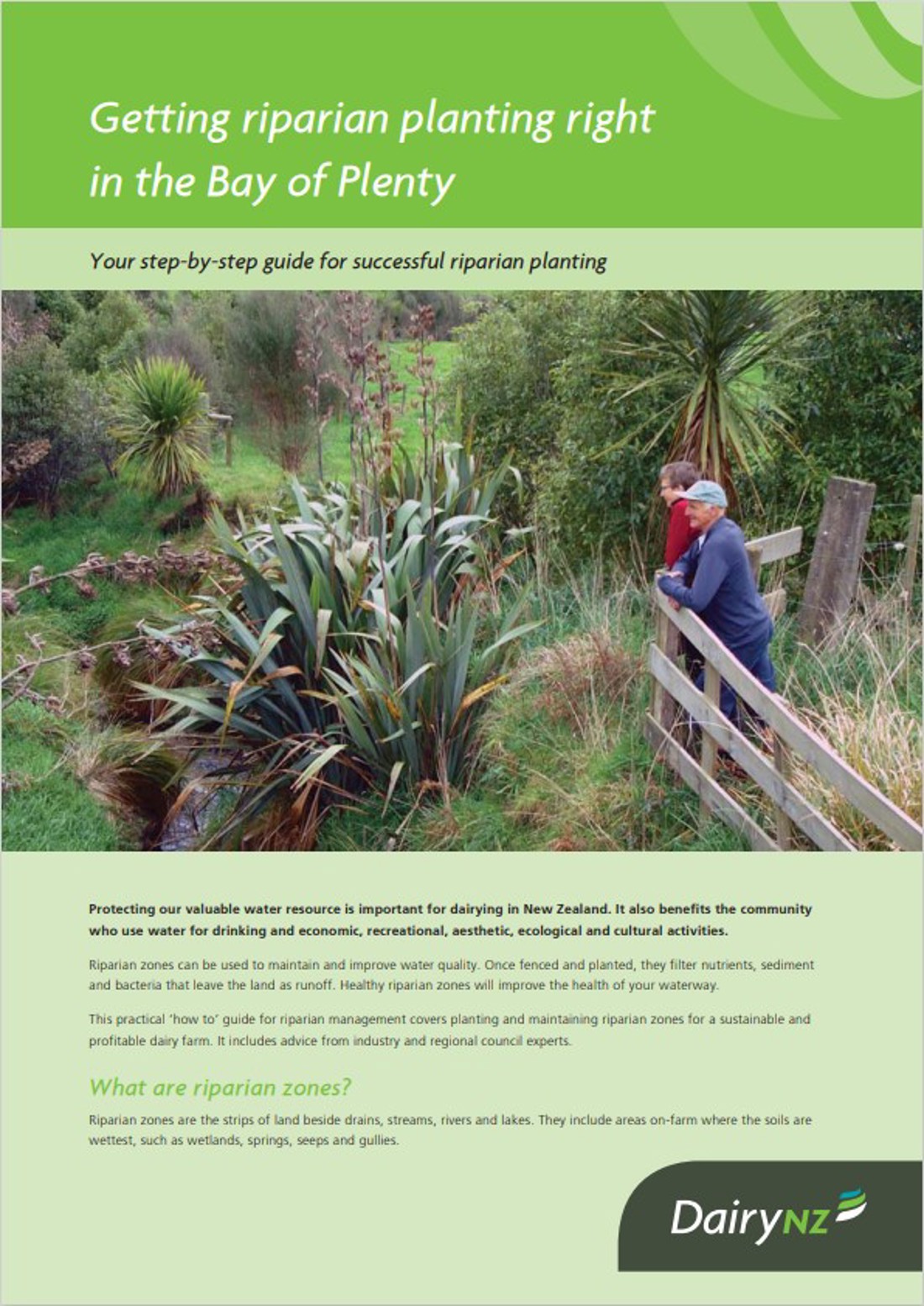 Getting Riparian Planting Right Bay Of Plenty Image