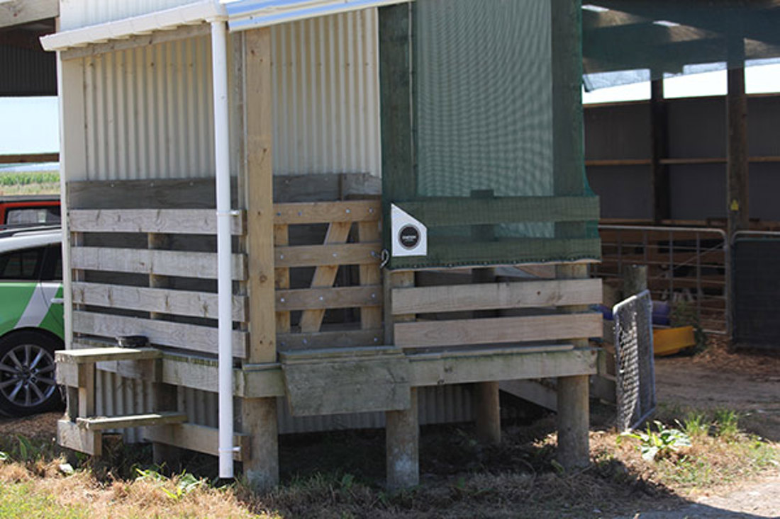 Home Built Pen In Lee Of Shed For Additional Shelter