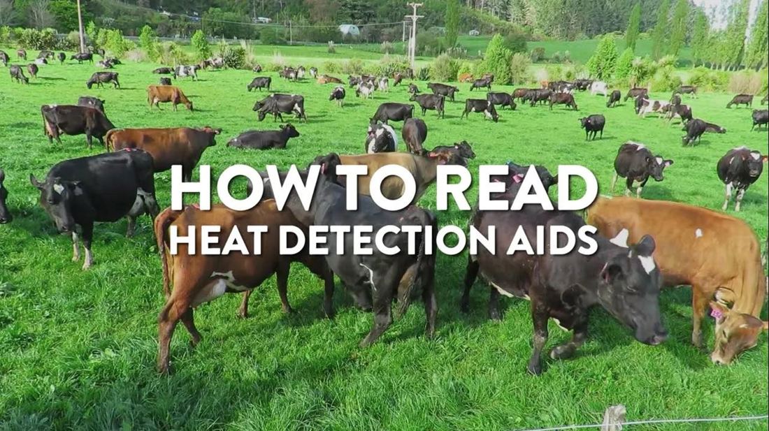 How To Read Heat Detection Aids Video Placeholder