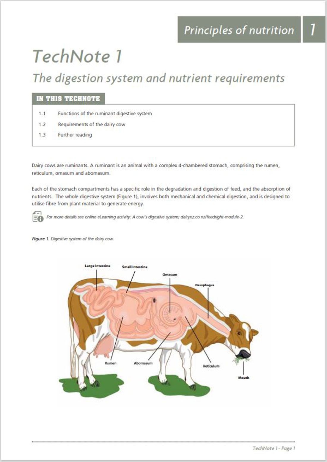 Feedright Module 1 Image