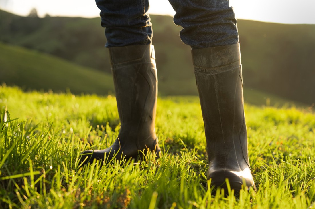 A New Zealand dairy farmer wearing gumboots standing in a grass paddock