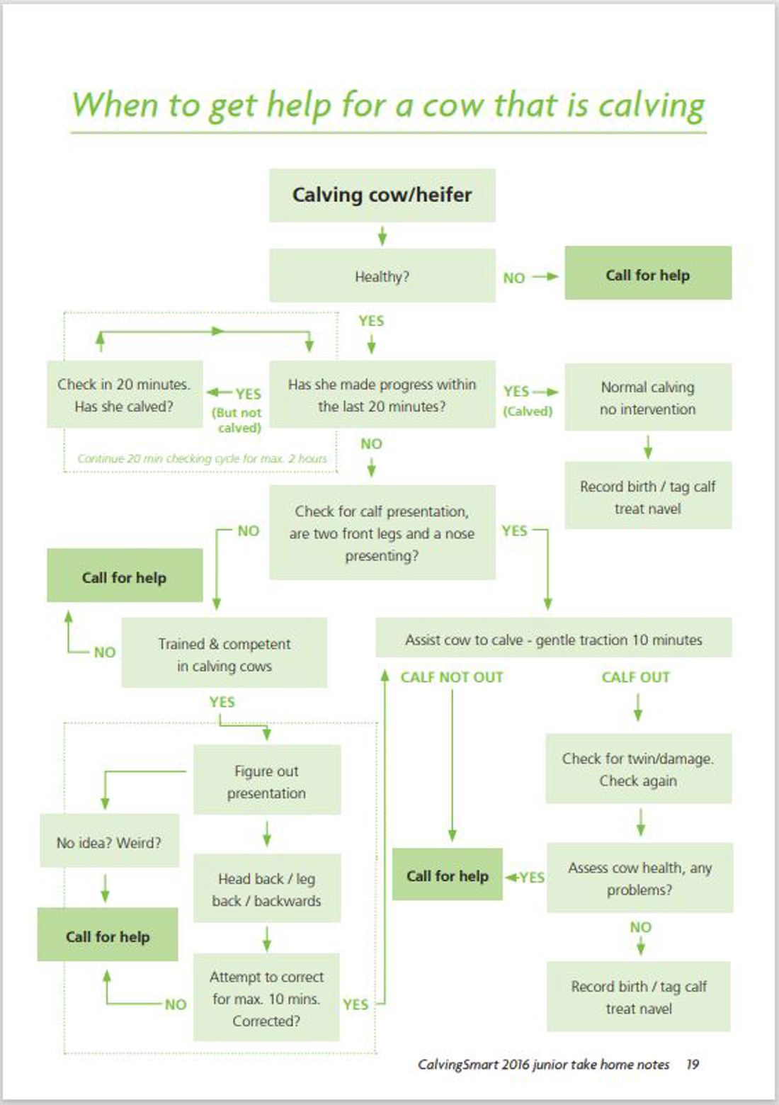 Calving Intervention Guide Image