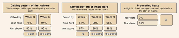 Calving Pattern Fertility Focus Report Image