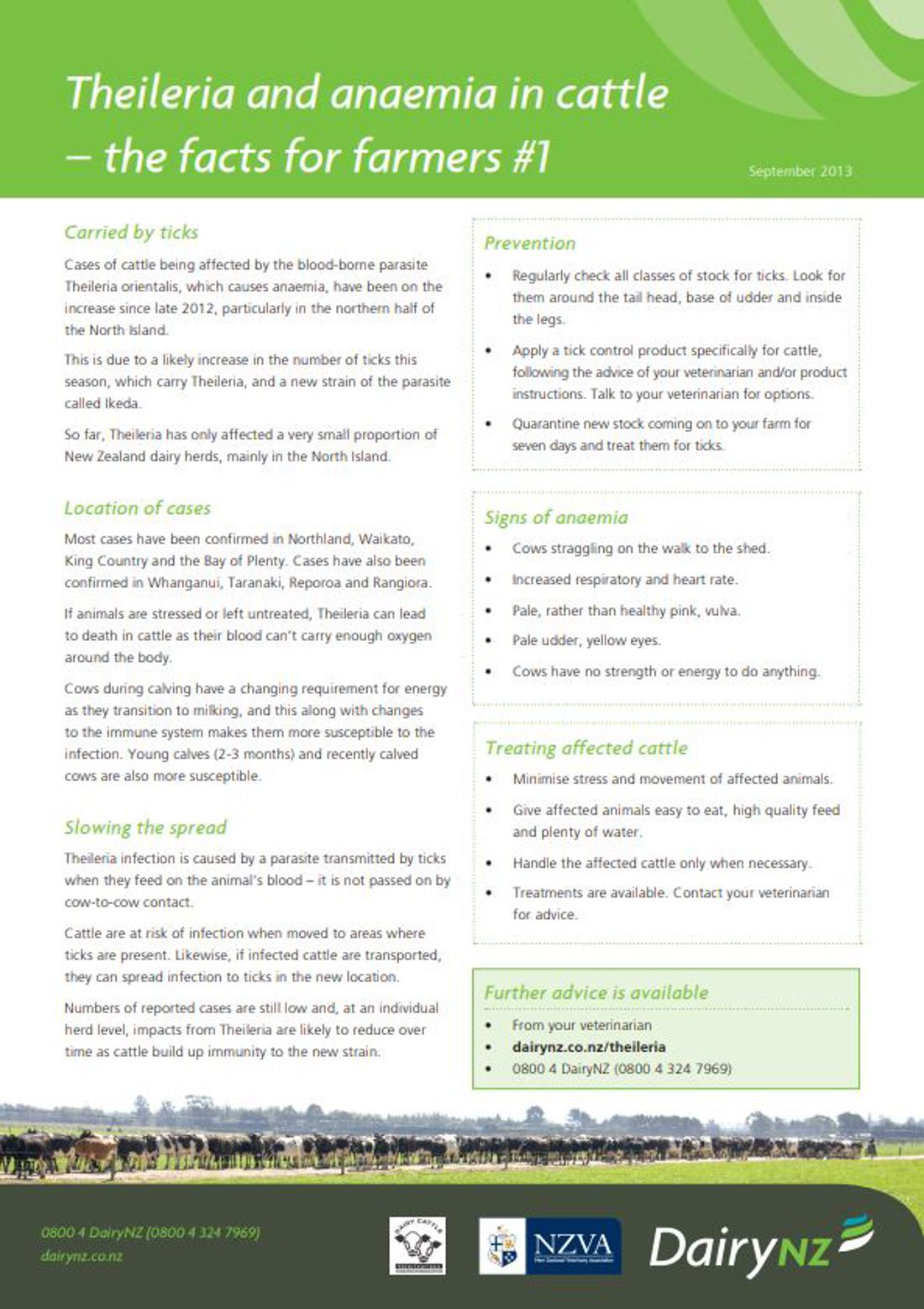 Theileria Factsheet 1 Image