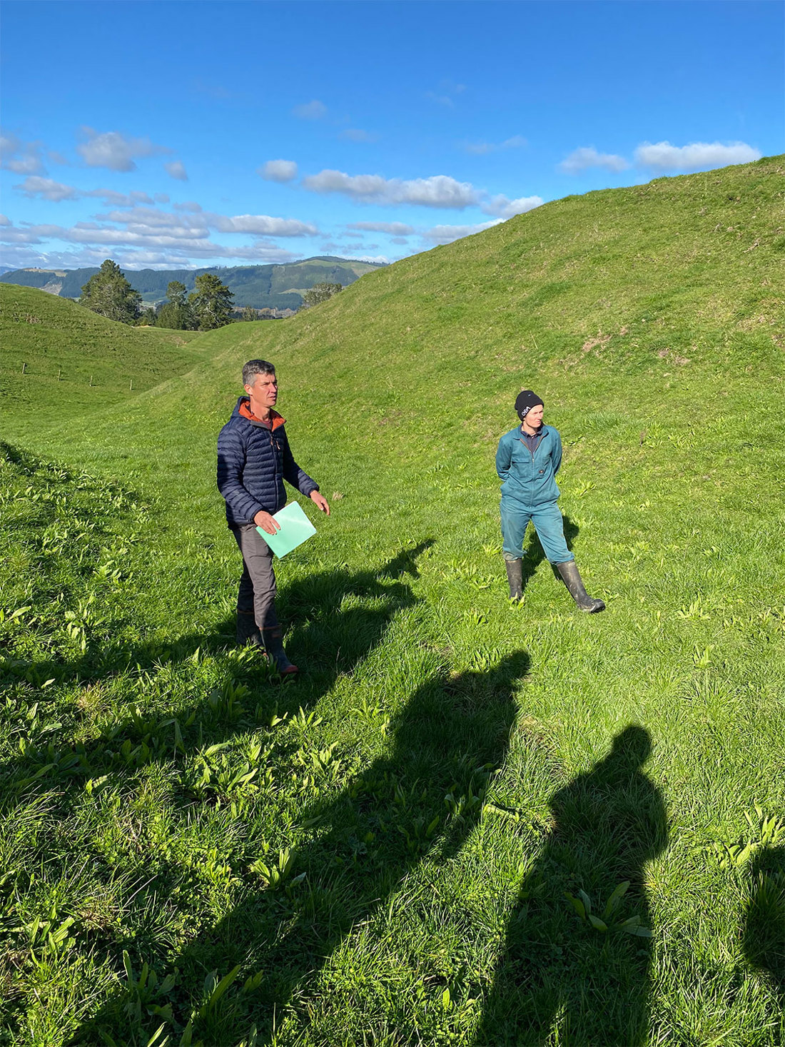 Plantain People In Hollow 1125X1500