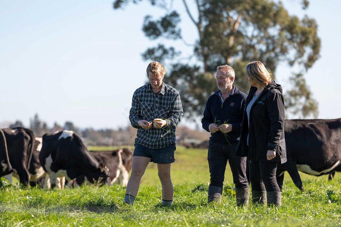 The Bunnik family in a paddock with their dairy cows assessing the pasture
