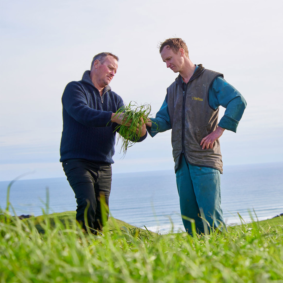 Resilient Pastures Partner Farm Network 1500SQ