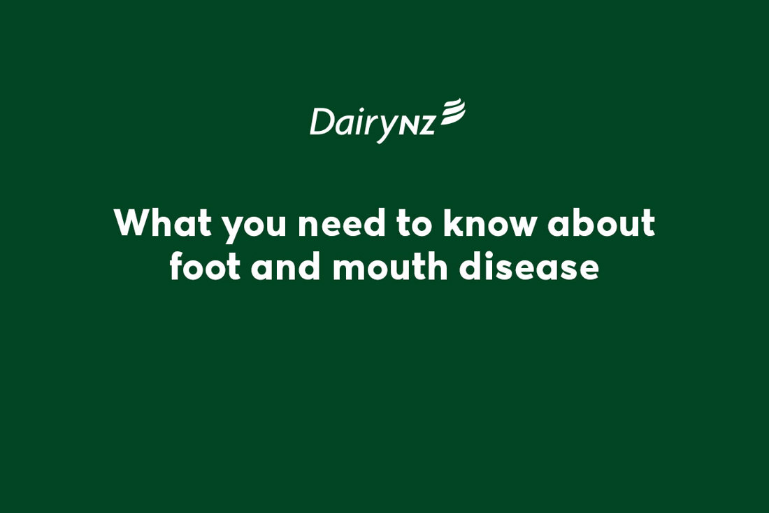 What You Need To Know About Fmd Video Placeholder Image
