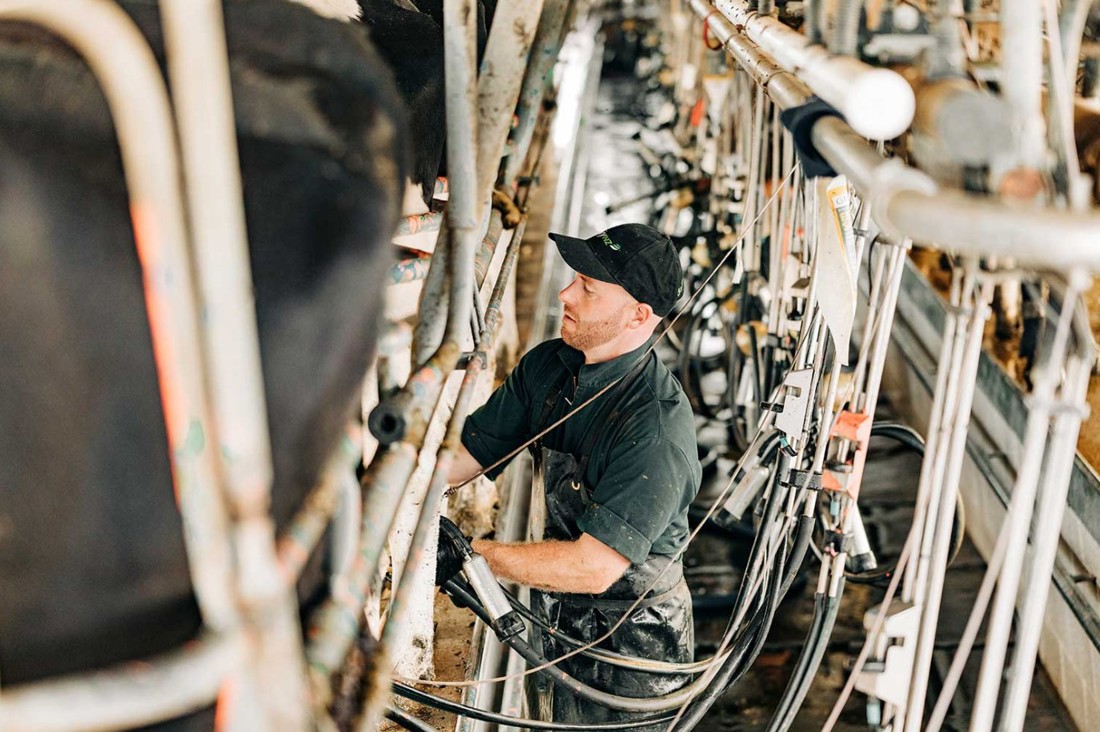 Rural Professionals Hub Hr Advisors Flexible Milking Image