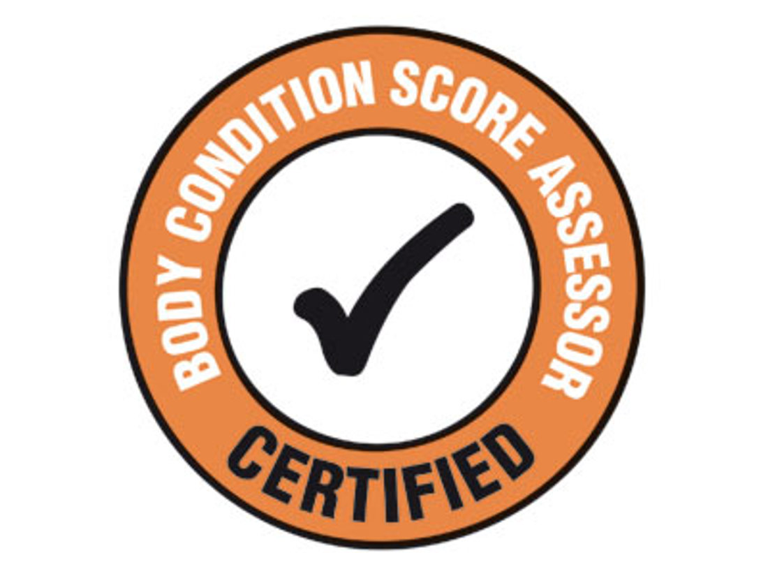 Assessor Certification Programme Logo