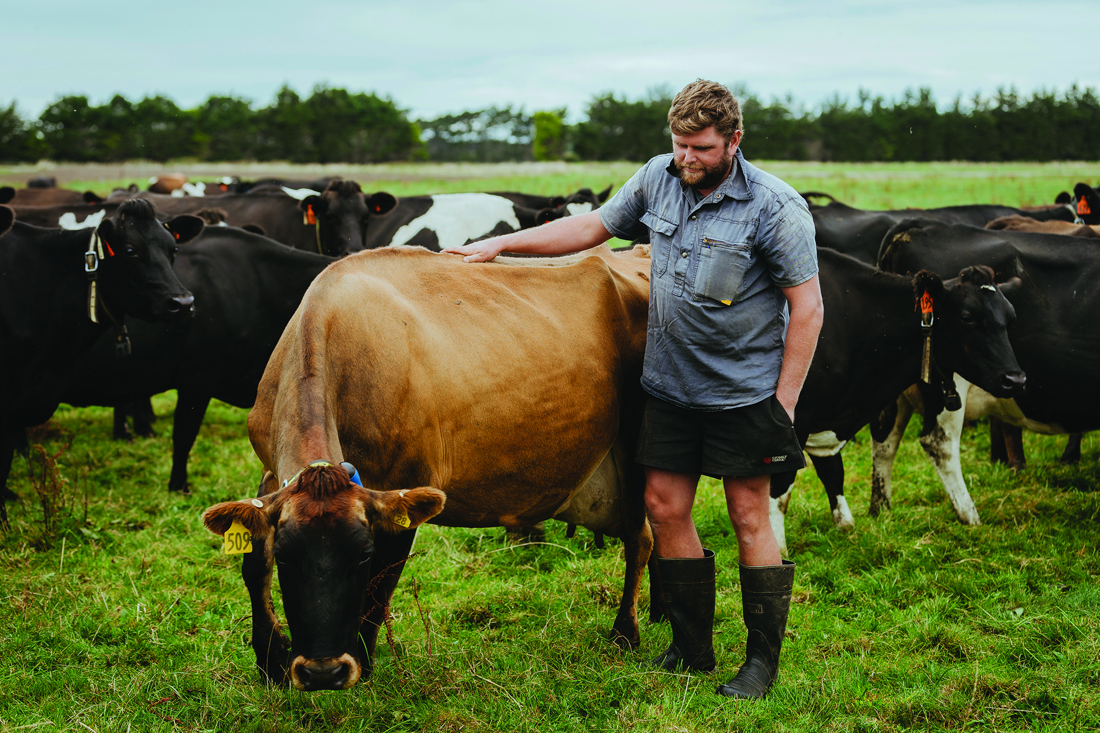 Dairynz 080