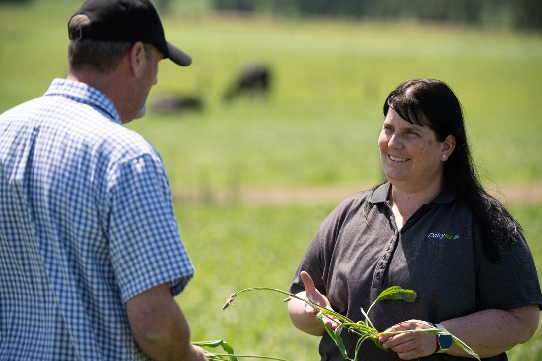 A DairyNZ regional team member helping a dairy farmer assess his paddock of plantain