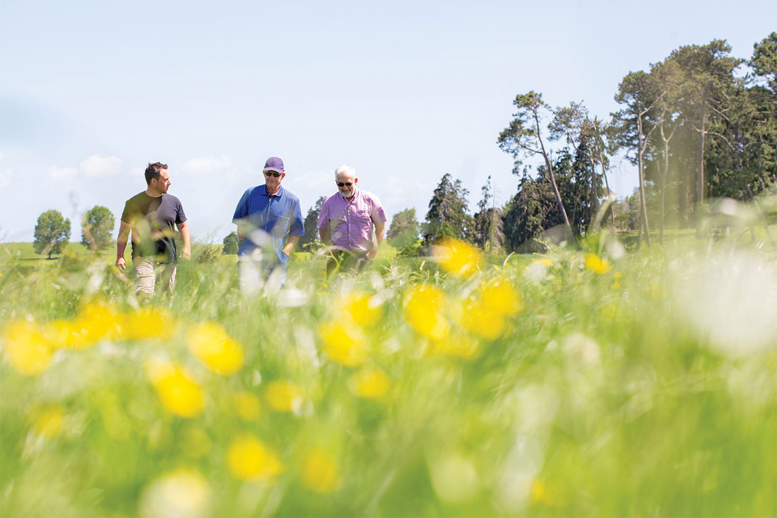 Three men walking in a dairy farm paddock on a sunny day.