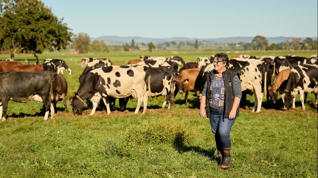 Genetic Gain Toolbox Hero Image