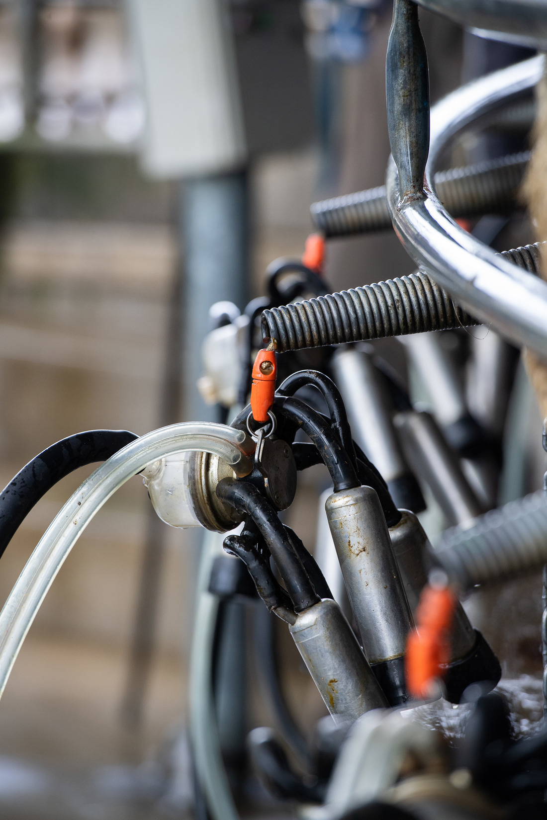 A machine used for milking cows