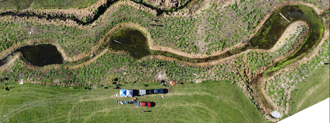 Wetland Restoration Banner V22