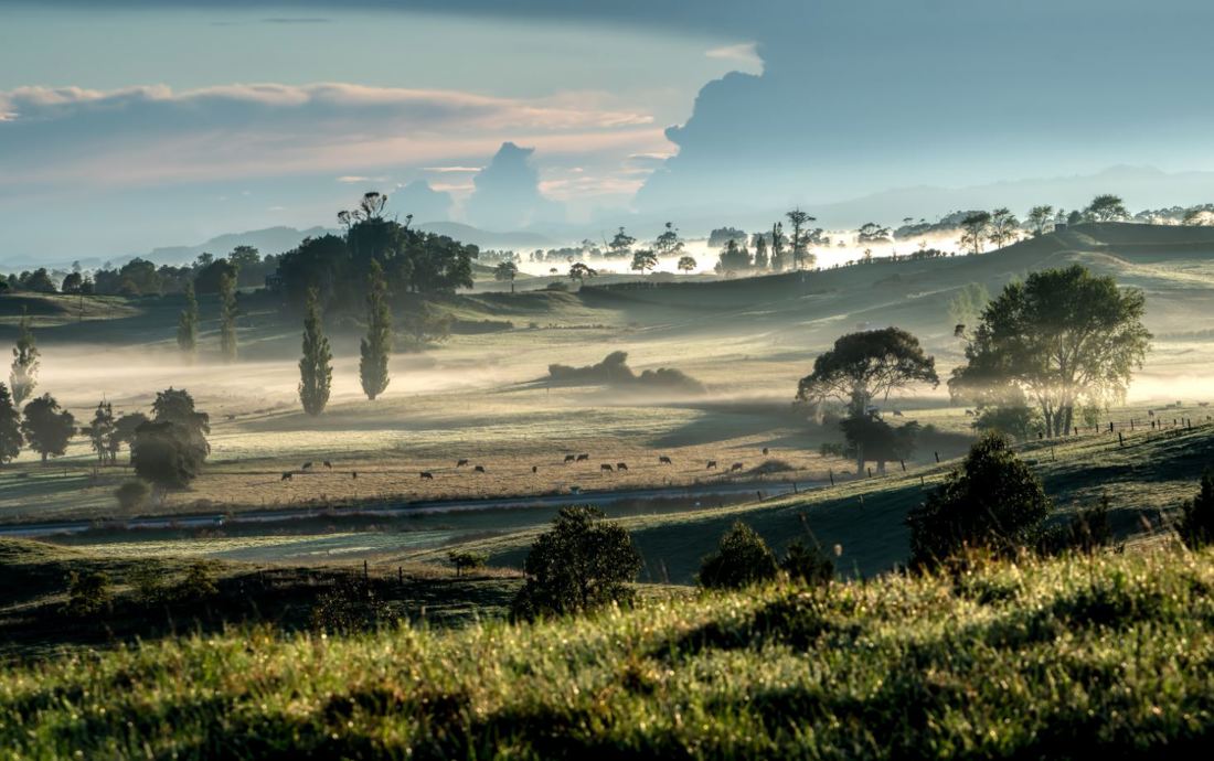 Winter Grazing Toolbox Hero Image