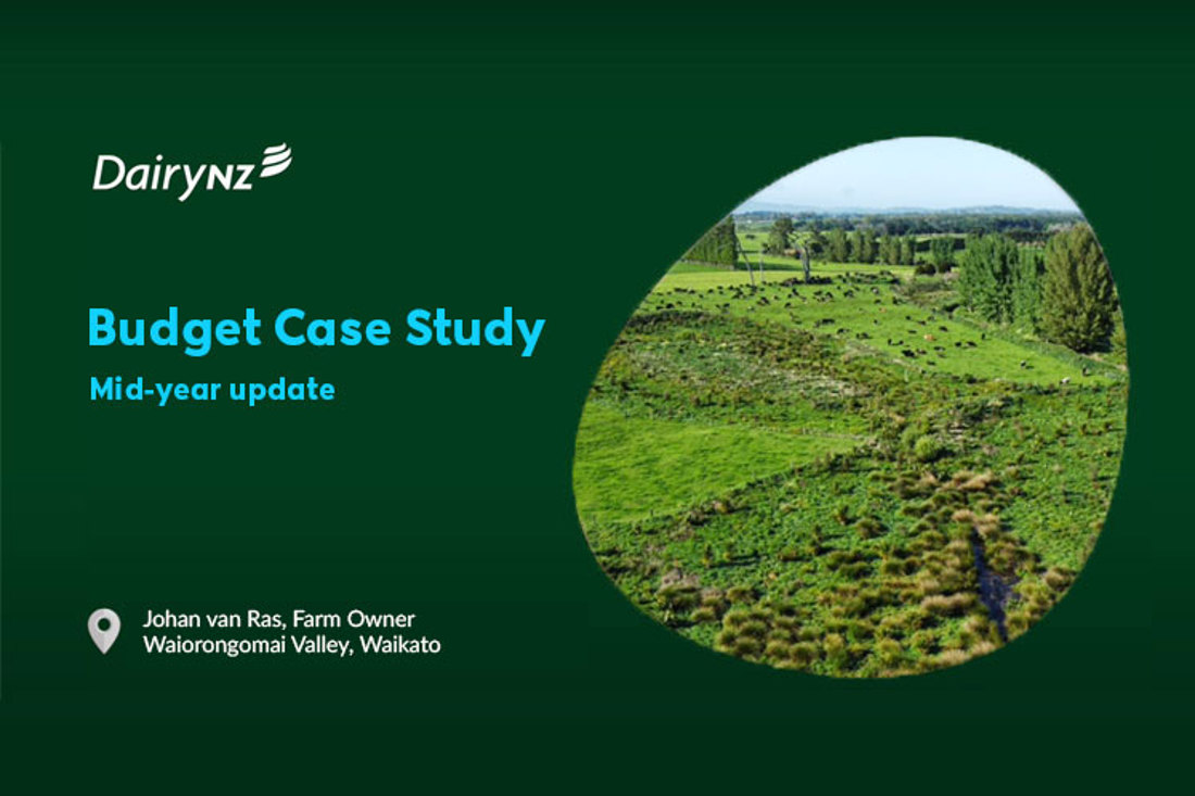 Budget Case Study Johan Van Ras Video Placeholder Image