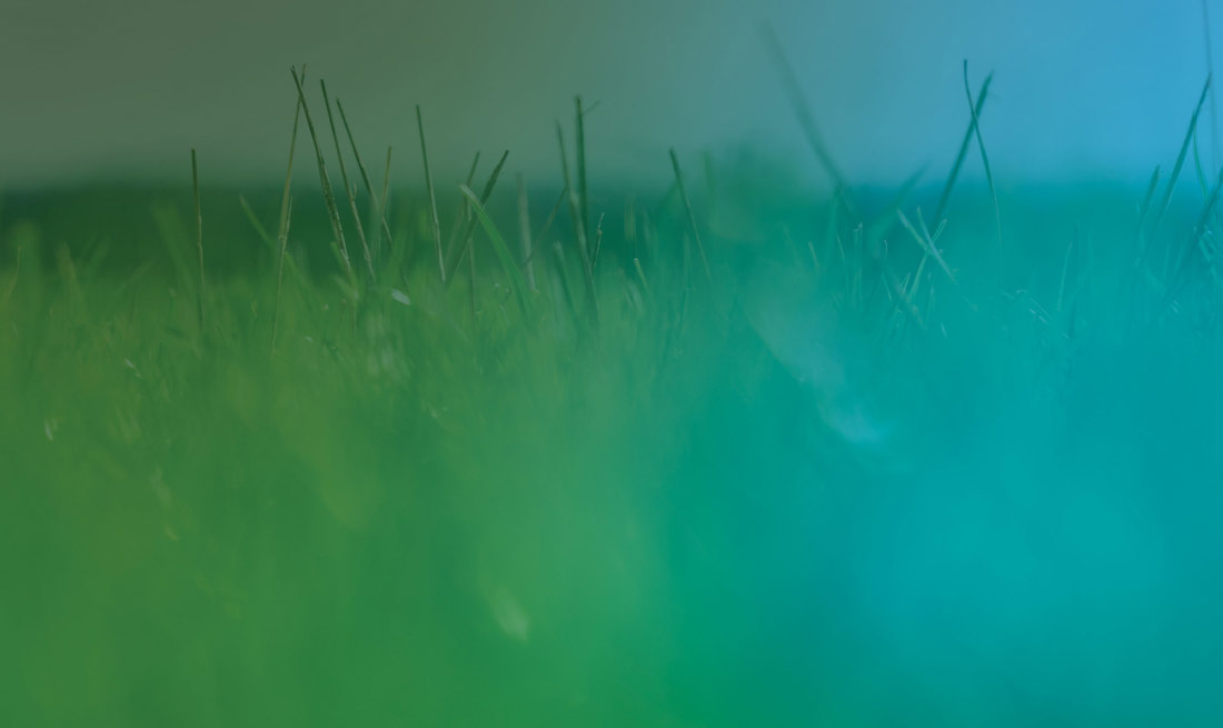 Get Connected Hero Banner Image 2480Wide