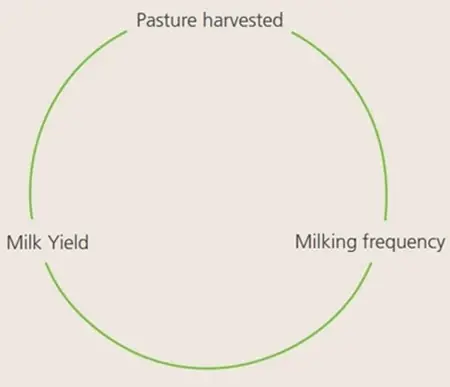 Cyclic Pattern