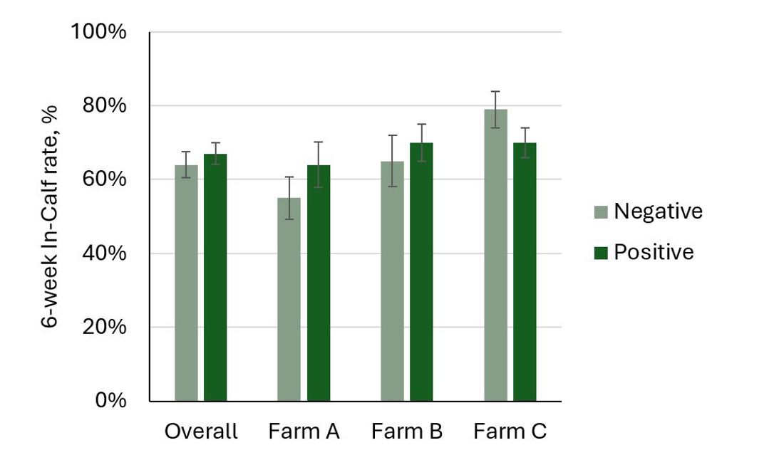 Blood Bhb And Cow Performance Graph Figure 3