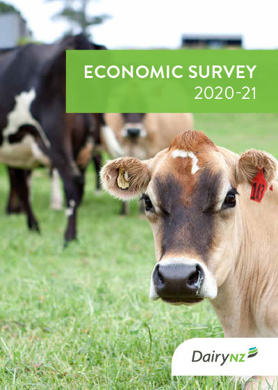 Economic Survey 2020 21 Image