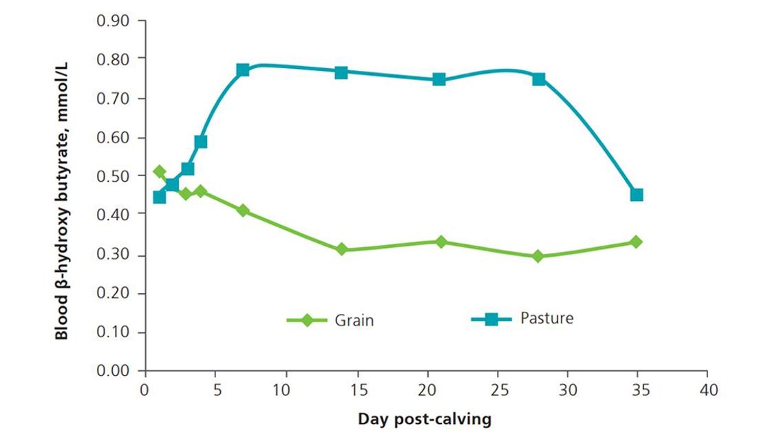 Blood Bhb And Cow Performance Graph Figure 1