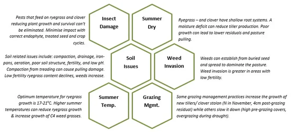 Survival Factors