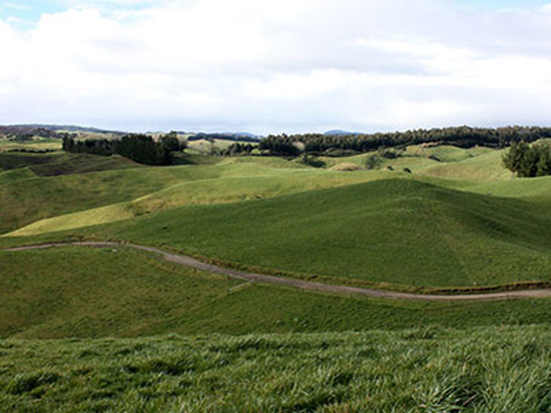 A grass field with a walking trail