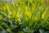 Spring Management 1500X1000
