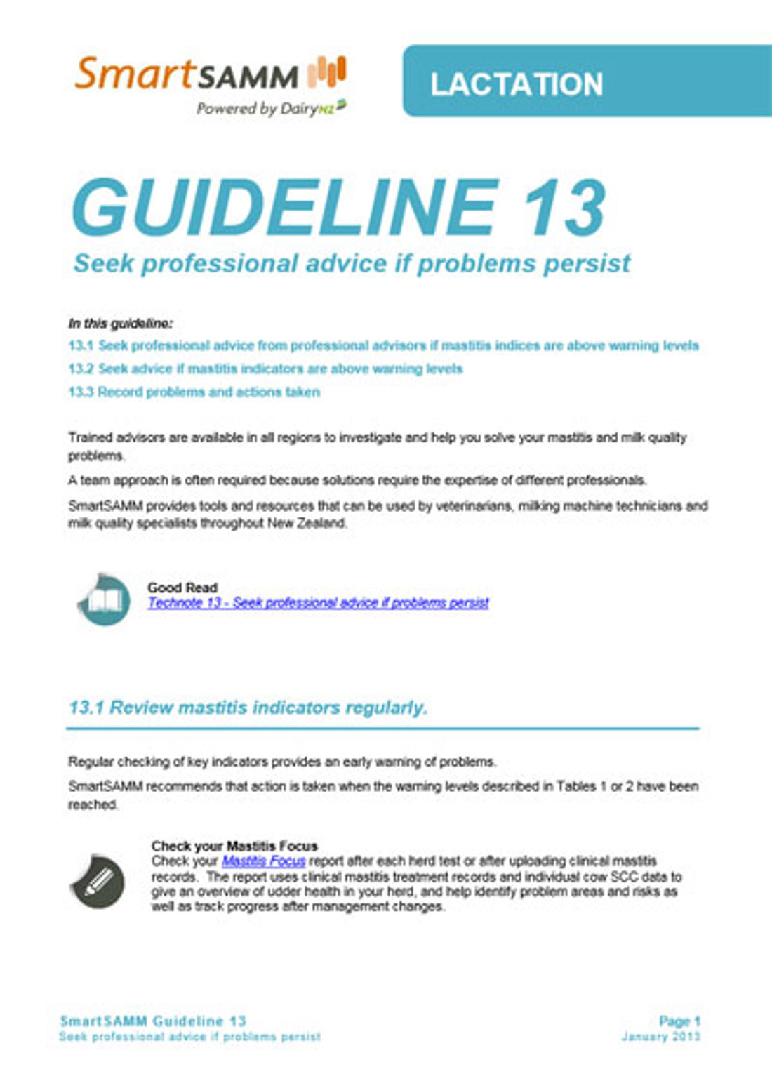 Guideline 13