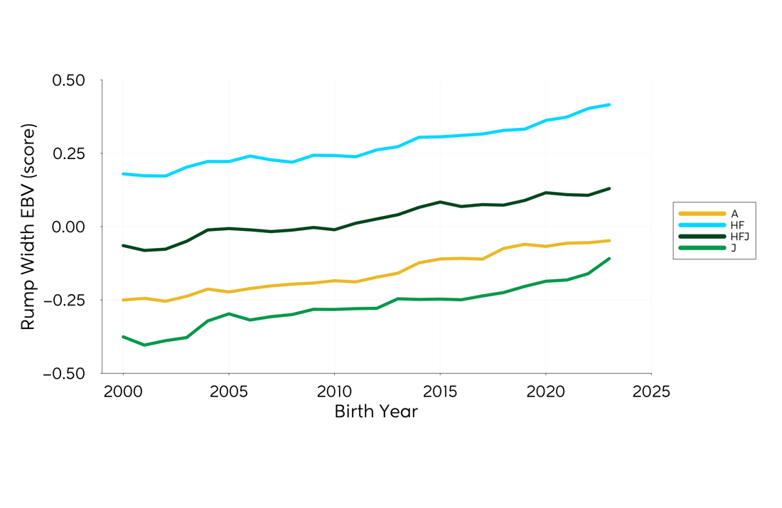 Genetic Trend Graph Rumpwidth 2024