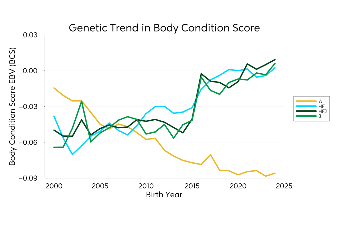 Genetic Trend Graph Bcs 2025