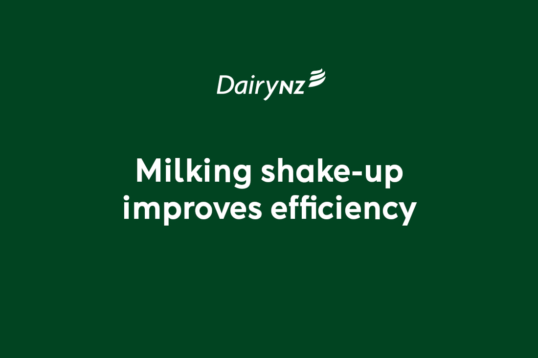 Milking Shake Up Improves Efficiency